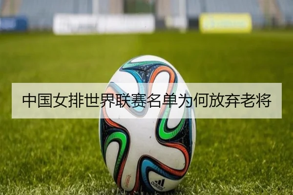 img_1785247865772_746_1_601.jpg
